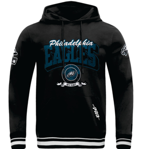<b>Black</b> Philadelphia Eagle Hoodies Embroidery Digital Printing Sky Blue Cotton <b>Fleece</b> Unisex Winter Zipper-Up Breathable Quick Dry - Product Image 3