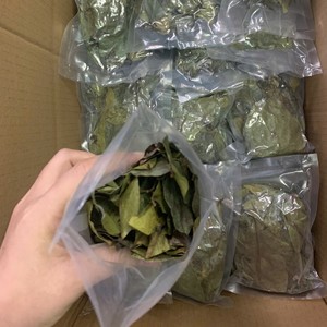 Dried Soursop Leaves Fermented Broken Black <b>Tea</b> Brew Hot Water Organic Health Non Sugar 50gr <b>Box</b> Grade 25 <b>Tea</b> Bags Vietnam EXPAD - Product Image 1
