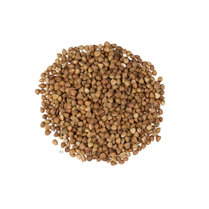 Granos de Trigo Sarraceno Tostados y Secos para una Alimentación Saludable, Suministro a Granel - Product Image 2
