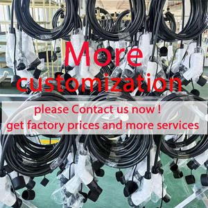 Chargeur domestique pour véhicule électrique, station de charge GBT, chargeur portable pour véhicule électrique, câble de charge 3,5 kW/7 kW, chargeur de voiture électrique pour BYD - Product Image 6