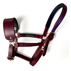 Cabestro de Cuero Duradero para Caballos con Costuras Decorativas, Equipo Ecuestre de Alta Calidad, Cabestros OEM - Product Image 1