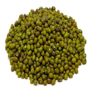 Exportación Global de Frijoles Mung a Granel, Premium, Frescos de Cosecha, 100% Naturales, Ricos en Proteínas, a los Mejores Precios del Mercado - Product Image 2