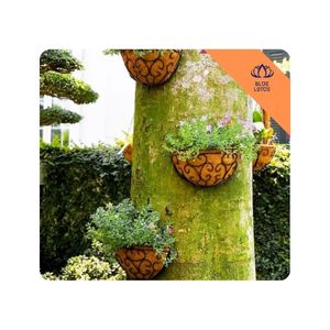 Meilleures ventes : Pot en fibre de coco biodégradable et écologique avec trou de drainage pour le repiquage des semis et le soutien des jeunes plantes - Product Image 1