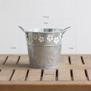Pot de fleurs en métal, seaux à plantes vintage, pot de plantes en métal, vase en métal galvanisé, vase à fleurs en métal, jardinières peintes à la main - Product Image 2
