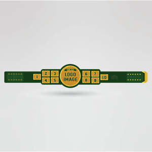 Ceinture de championnat de lutte en laiton vert et zinc avec plaques numérotées dorées, quatre plaques latérales et plaque centrale personnalisable |   Fantaisie artisanale - Product Image 1
