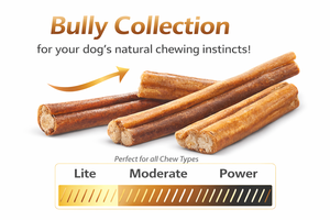 Snacks Premium para Perros Ox Bully Stick del Fabricante, de un Solo Ingrediente, Natural, con Olor Reducido, Digestible, de Larga Duración, para Masticar, a Granel, para Exportación - Product Image 3