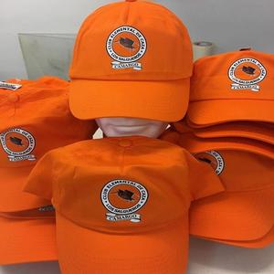 Nueva Gorra de Béisbol de Lujo con Diseño de Hojas y Leopardo a Rayas, Bordado 3D, Visera Curva, 100% Algodón, Ajustable - Product Image 1