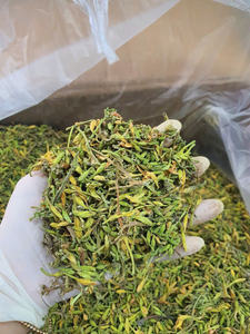 Fleurs de papaye mâle cueillies en pleine nature – Séchées au soleil, qualité herboristerie - Product Image 1