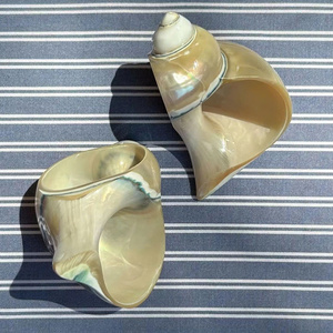 Prix d'usine Vietnam Tropical Luxury Napkin Ring Coastal Hotel Dining Elegant Conch Shell Mirror Eco-Friendly Handmade 10ml - Product Image 5
