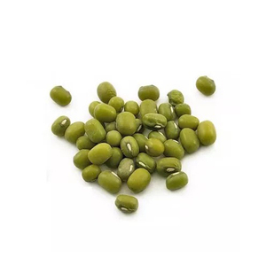 Venta al por mayor de frijoles Vigna Mung a bajo precio, calidad de exportación, envío rápido - Product Image 1