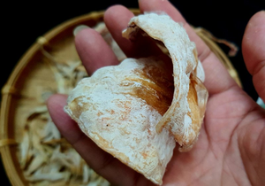 Poudre de Calamar Riche en Protéines 54% Saveur Naturelle de Fruits de Mer pour Nouilles Instantanées et Industrie Alimentaire ANGLE - Product Image 5