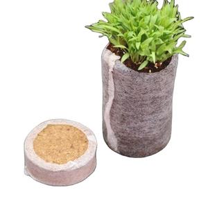 Pellets de Fibra de Coco de Primera Calidad |   Germinación de Semillas |   Fabricante y Exportador de la India GEEWIN EXIM - Product Image 5