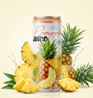 Jus d'ananas frais 100% sain OEM/ODM sans sucre ajouté 500ml en conserve stérilisée Vente en gros Haute Qualité