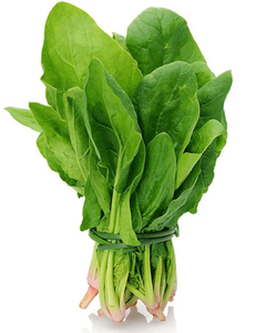 FRESH <b>BABY</b> SPINACH – VIETNAM ORIGIN, STABLE SUPPLY, EXPORT STANDARD, REFRIGERATED - Product Image 5