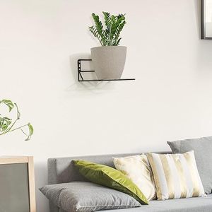 Macetero Minimalista de Pared para Plantas Verdes de Interior - Product Image 1