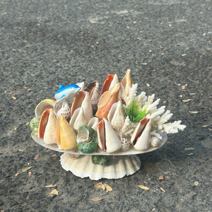 เปลือกหอยธรรมชาติขัดเงาจากเวียดนาม สำหรับสูตรอาหารสร้างสรรค์และเพิ่มสีสันแบบชนบท โดย 99 โกลด์ ดาต้า โค - Product Image 6