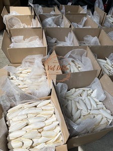 ปลาหมึกกระดูกใหญ่จากเวียดนาม/คัตตี้ - Product Image 4