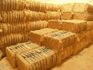 เส้นใยมะพร้าวธรรมชาติเส้นใย100% สำหรับแปรงเชือกและการผลิตสิ่งทอ - Product Image 3
