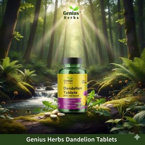 Comprimés de pissenlit naturels à base de plantes, riches en nutriments, extrait séché, vente en gros, expédition mondiale, pack professionnel, directement de l'usine - Product Image 3