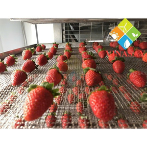 Customized FD Whole Strawberry <b>Sweet</b> Ready-to-Eat Vietnam Vacuum Pack High <b>Quality</b> ODM OEM Service Retail Brands - Product Image 4