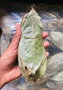 Goyavier séché doux du Vietnam, collation naturelle et saine, sans sucre ajouté, qualité supérieure, en vrac, pour l'exportation - Product Image 6