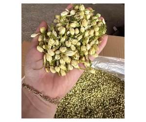 Flores de Jazmín Secas de Calidad de Exportación - Ingrediente Floral Natural para el Procesamiento de Bebidas - Product Image 5