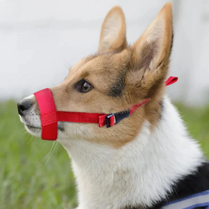 Collar de Adiestramiento para Perros Ajustable de Nailon Morado, Talla Pequeña, Cierre de Hebilla, Estilo Simple, Accesorio para Mascotas para Todas las Estaciones - Product Image 4
