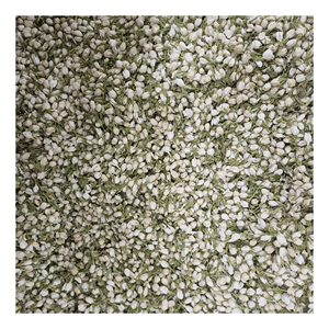 Vietnam Dried jasmine flower selected whole buds for <b>bubble</b> tea <b>toppings</b> and sachet filling, low-moisture floral material - Product Image 1