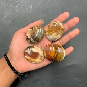 Piedra de Palma de Madera Petrificada Natural Premium 45x35x15 mm – Piedra Decorativa Pulida para Colección y Exhibición - Product Image 3