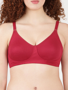 Women Seamless Bra Back Closure Full Coverage Encircle Support High Quality Sexy Lingerie Comfortable Breathable Daily Wear - Product Image 2