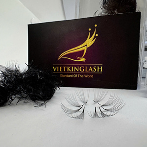 Wholesale Vietnam Handmade 10D Premade Spiky Eyelash Extensions 0.05 Synthetic Hair Natural Long C CC Curl Matte Black Volume - Product Image 3