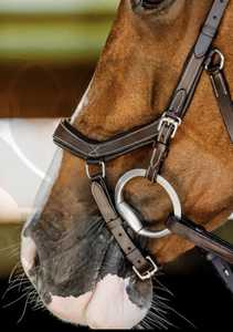 Ensemble de bridons en cuir pour chevaux, équipement traditionnel d'équitation, bridons d'équitation en gros, bridons Annabelle. - Product Image 2