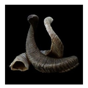 Cuernos de Oveja Decorativos, Par de Cuernos Naturales, Arte Rústico para Pared, Decoración del Hogar con Temática Animal - Product Image 5