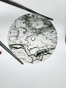 Esfera de Reloj de Ágata Musgosa Natural de 28.50mm Verde/Blanco, 1mm de Grosor, Estilo Clásico, Elegante y de Lujo, para Fabricación de Relojes al por Mayor - Product Image 4