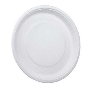 Assiettes jetables en gros pour les fournisseurs de services alimentaires, les restaurants, les hôtels, les traiteurs et les organisateurs d'événements - Product Image 1