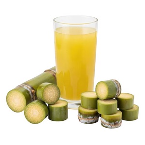 Concentrado de Jugo de Caña de Azúcar Congelado de Marca Privada – Ingrediente Premium para Bebidas para Mercados Globales - Product Image 1