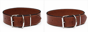 Collar de cuero serie Monarch para marcas privadas premium de productos para mascotas de Divine International - Product Image 3