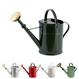 Arrosoir de jardin en métal pour arroser les plantes, les fleurs et les arbustes, corps en acier durable avec long bec verseur et poignée confortable - Product Image 6