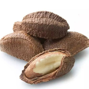 Noix de macadamia (avec et sans coquille) - Meilleur prix et qualité. Noix du Brésil – Châtaignes - Product Image 1