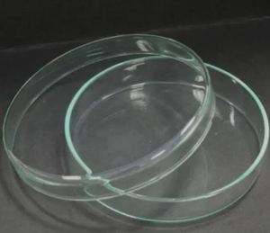 Ensemble de plaques de culture en verre borosilicate robustes, plaques de Petri transparentes pour culture cellulaire, prix de gros auprès du fournisseur - Product Image 2