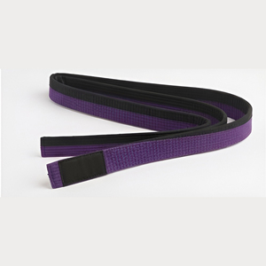 Ceintures de karaté personnalisées avec logo brodé, 100% coton, ceinture d'arts martiaux pour le taekwondo et le karaté, ceinture à double couture - Product Image 1