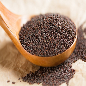 Graines de moutarde en gros les plus vendues, qualité supérieure, approvisionnement en vrac, qualité alimentaire, prêtes à être expédiées, exportation - Product Image 4