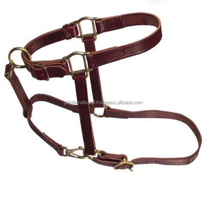 Licou en cuir de cheval confortable et durable en cuir équestre de haute qualité pour les courses de chevaux et l'entraînement au prix d'usine - Product Image 2