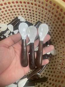 Cuchara Ecológica de Concha Negra Natural, Cuchara de Degustación Gourmet de Lujo, Venta al Por Mayor, Fabricante de Vietnam - Product Image 5