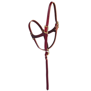 Cabestro de entrenamiento para caballos Royal International Premium de cuero genuino con correa de control |   Collarín Ajustable para Caballos de Establos Ecuestres - Product Image 3