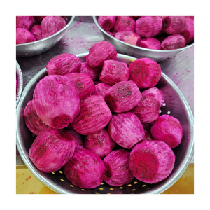 Fruits du dragon surgelés IQF les plus vendus, rouges et blancs, coupés en dés, fruits tropicaux en vrac provenant du Vietnam - Product Image 6