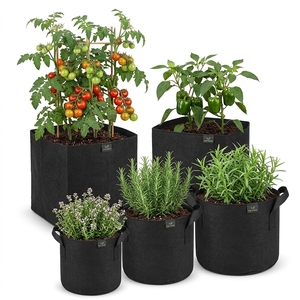 Low EC coco peat grow <b>bag</b> slabs for modern farming efficient and eco-friendly Hydroponic Growing Medium for Greenhouse <b>Vegetable</b> - Product Image 2