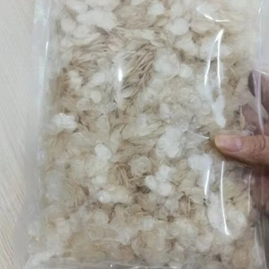 เกล็ดปลาแห้งจำนวนมากสำหรับส่งออก |   ทำความสะอาดแล้วและตากแดดให้แห้ง - Product Image 1