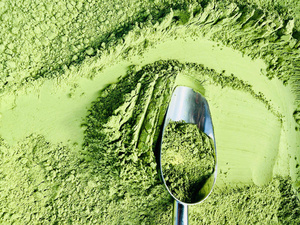 Poudre de Moringa Bio en Promotion - Super Aliment Détoxifiant pour la Perte de Poids, Fournisseur Vietnamien, Meilleur Prix - Product Image 3