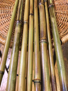 Varas de Bambú Tratadas de Alta Calidad, Estacas de Bambú Duraderas para Agricultura - Product Image 5